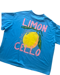 Lemoncello Shorts - Pink
